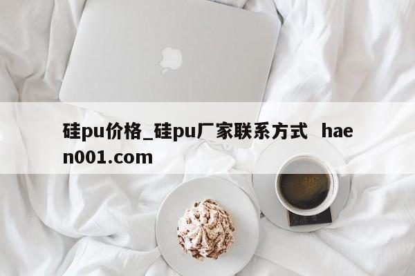 硅pu价格_硅pu厂家联系方式  haen001.com